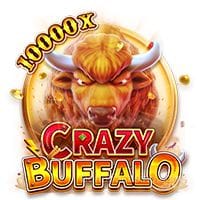 CRAZY BUFFALO